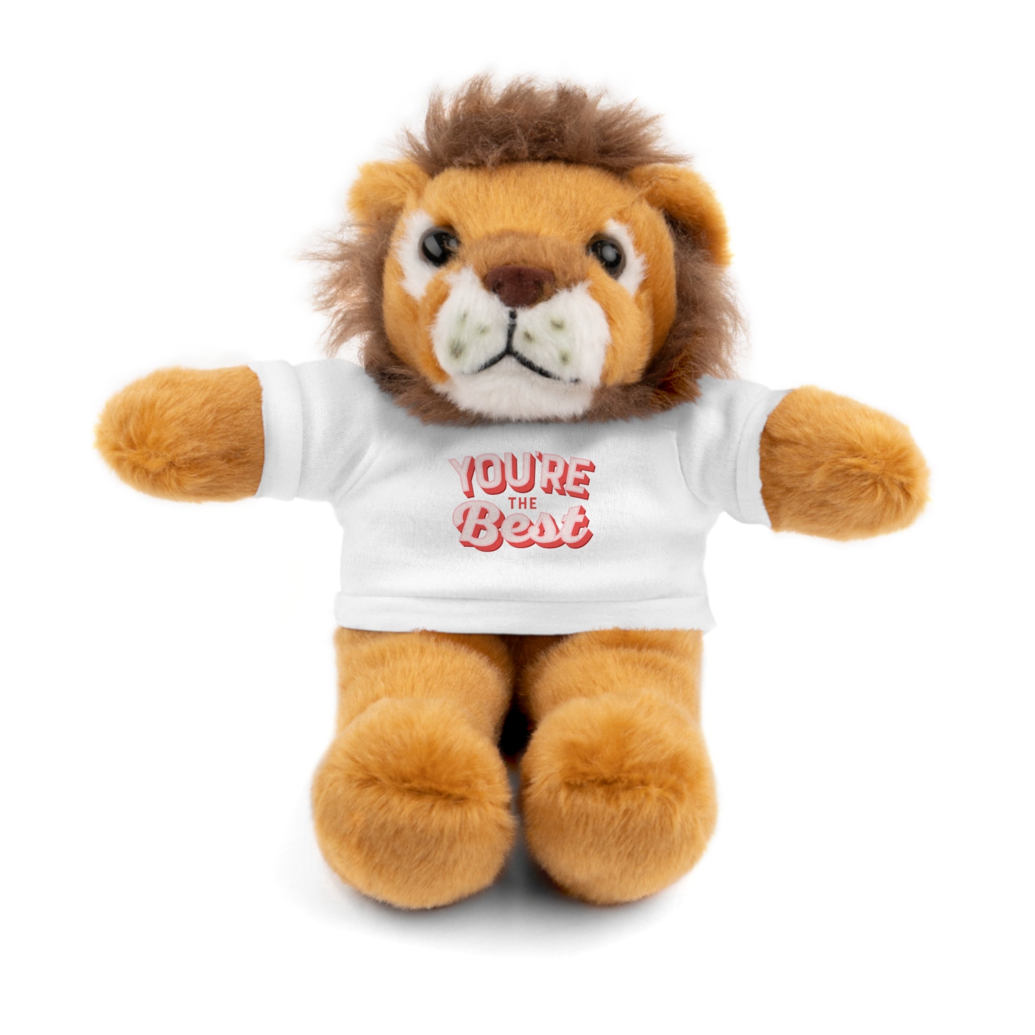 You're the Best - Stuffed Animals with Tee