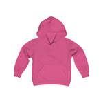 Porsche Back design - Kids Youth Heavy Blend Hoodie